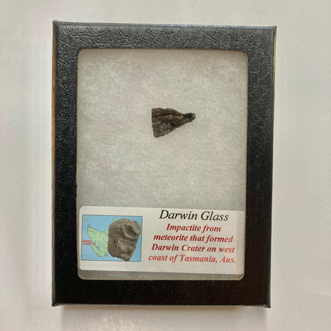 Darwin Glass, Tasmania