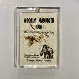 Mammoth Hair
