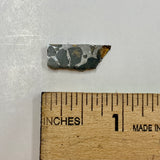 Seymchan Meteorite Fragment, Russia