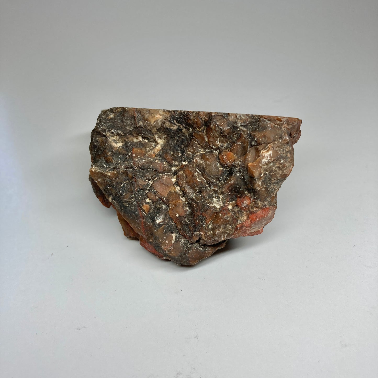 Dinosaur Coprolite